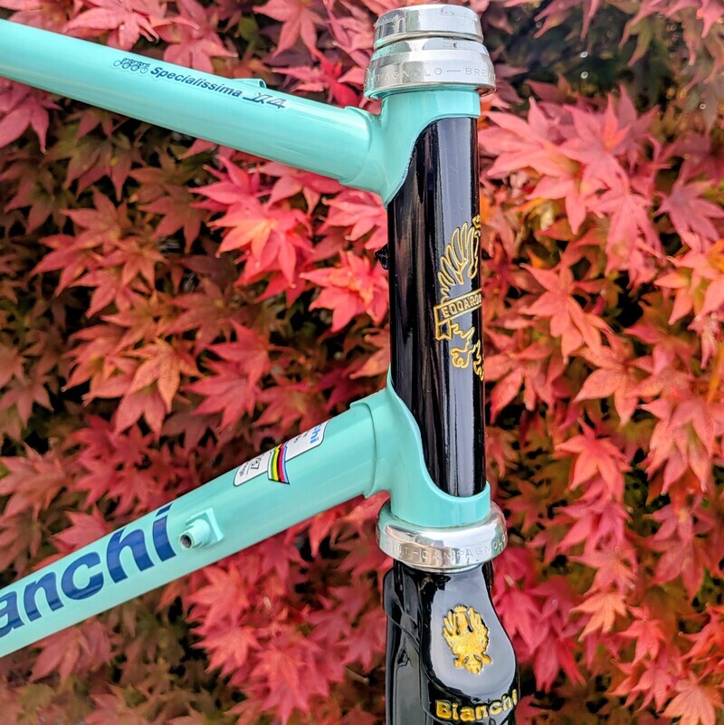 Bianchi Specialissima X4 Argentin: The Zenith of the Reparto Corse and the Anatomy of a World Championship Machine