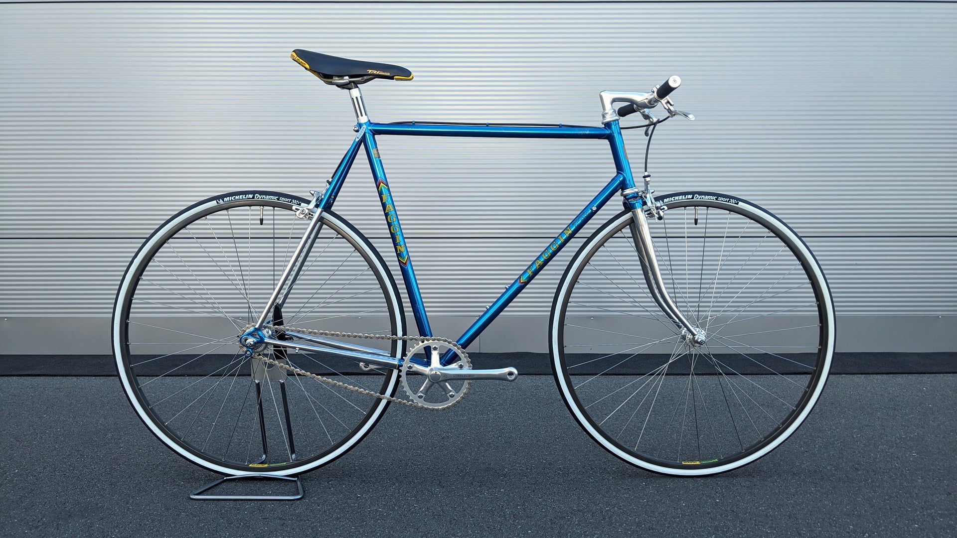 fagin rennrad Faggin Cromovelato Retro Singlespeed Bike Stronglight Shimano 600 –  Goldensteelcycles