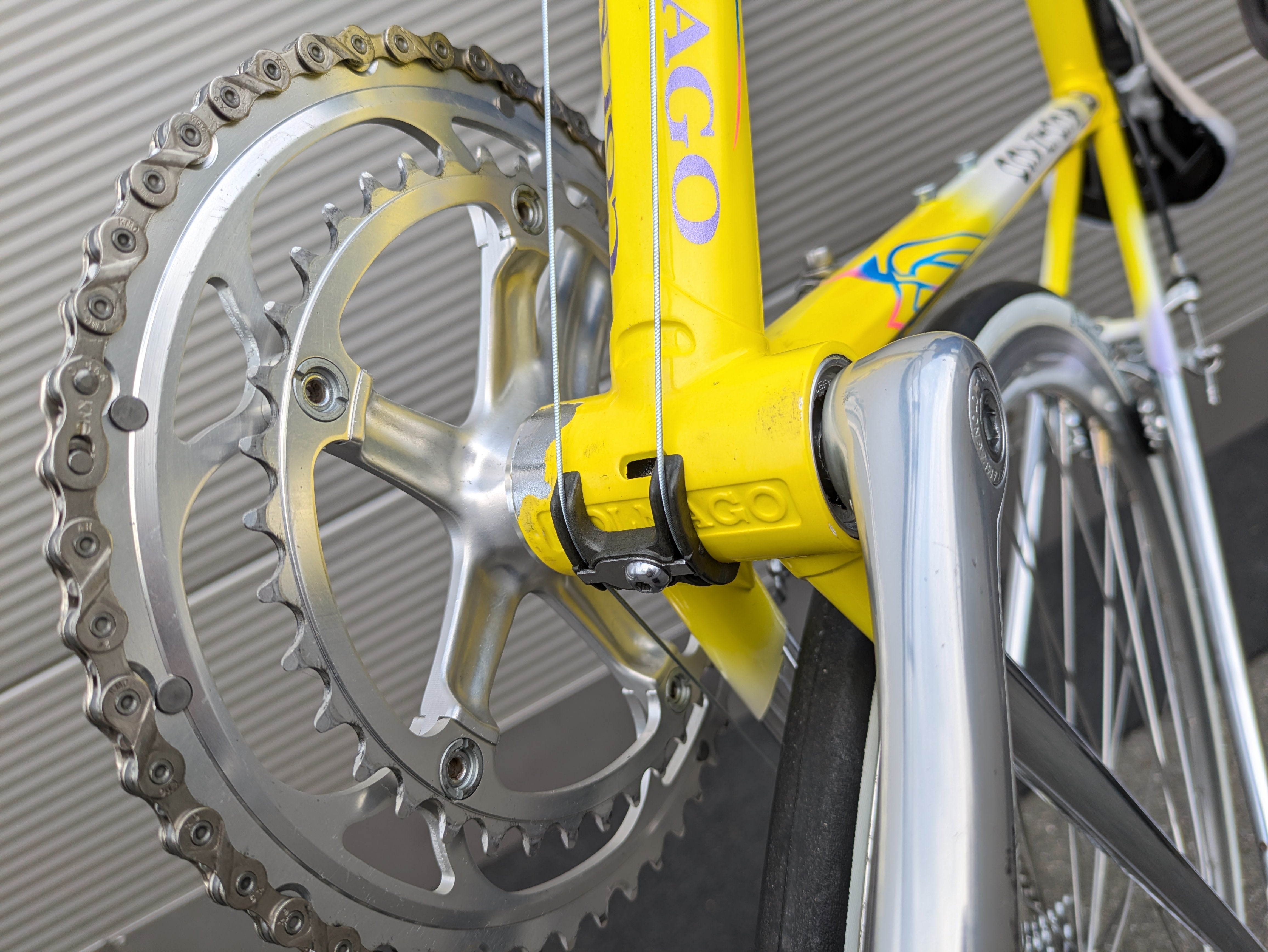 Colnago Master Olympic – 1990s – Campagnolo Chorus – Vintage Steel