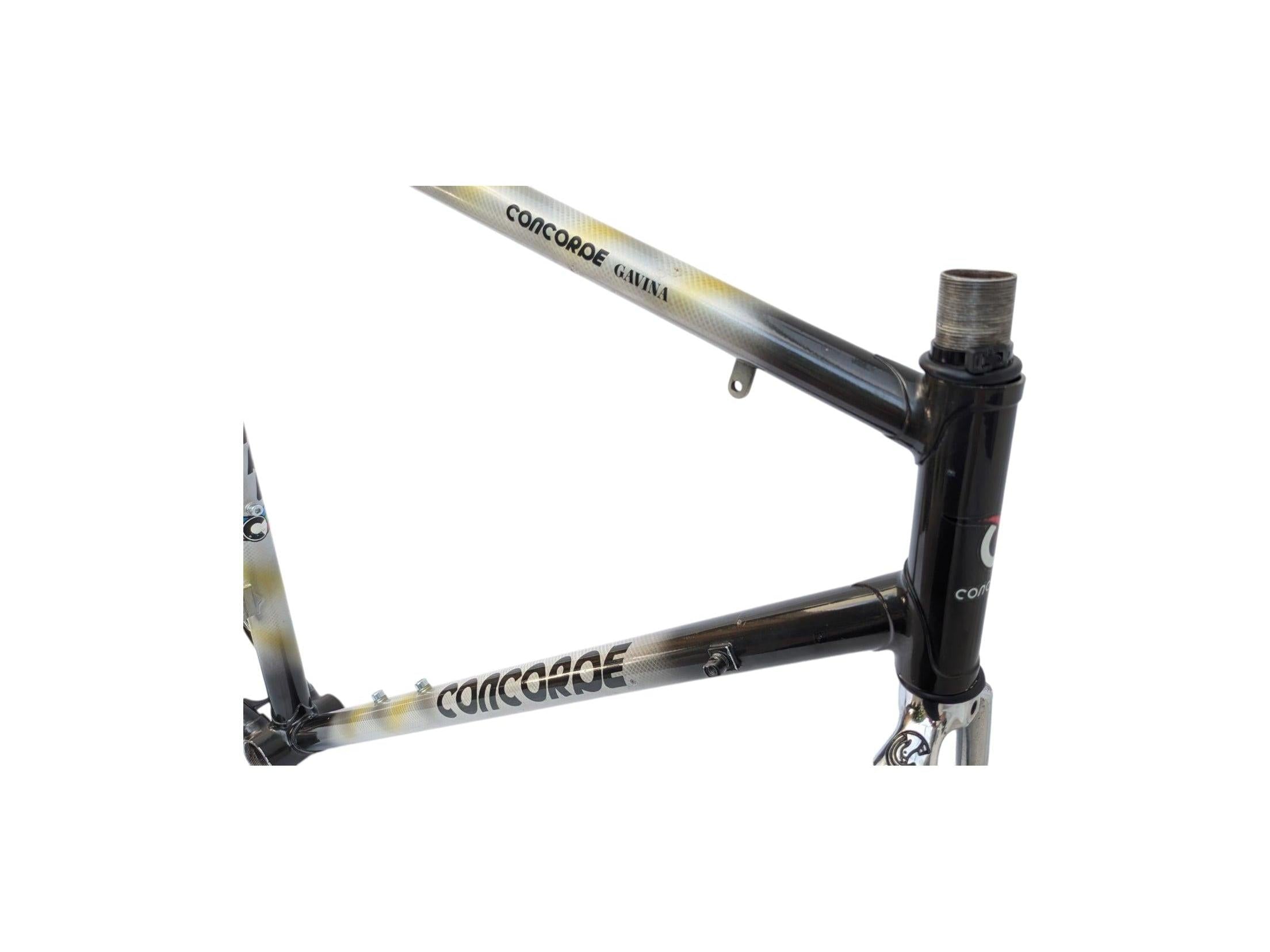 COLUMBUS SL ロードバイクフレーム Concorde Gavina Columbus SL Vintage Steel Road Bike Frame 55cm